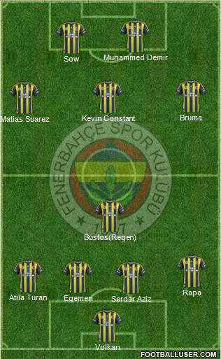 Fenerbahçe SK Formation 2013