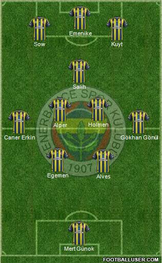 Fenerbahçe SK Formation 2013