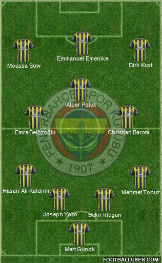 Fenerbahçe SK Formation 2013
