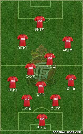 Gyeongnam FC Formation 2013