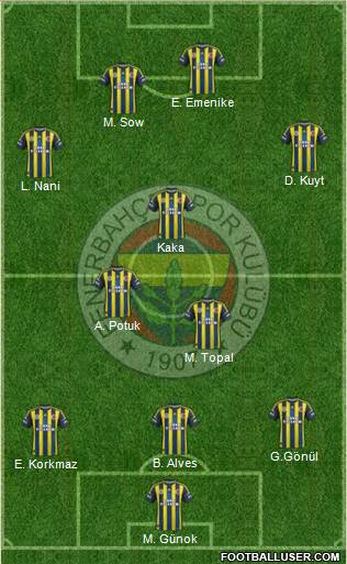 Fenerbahçe SK Formation 2013
