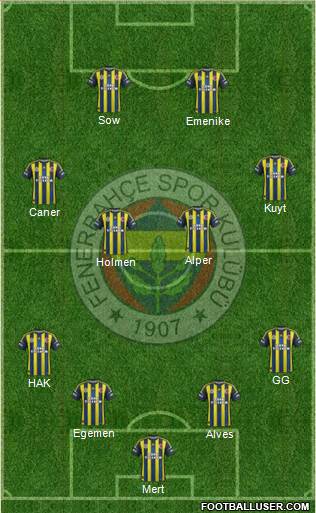 Fenerbahçe SK Formation 2013