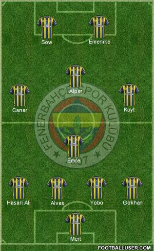 Fenerbahçe SK Formation 2013