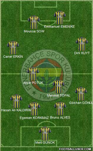 Fenerbahçe SK Formation 2013