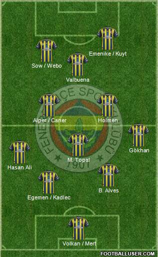 Fenerbahçe SK Formation 2013