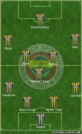 Fenerbahçe SK Formation 2013