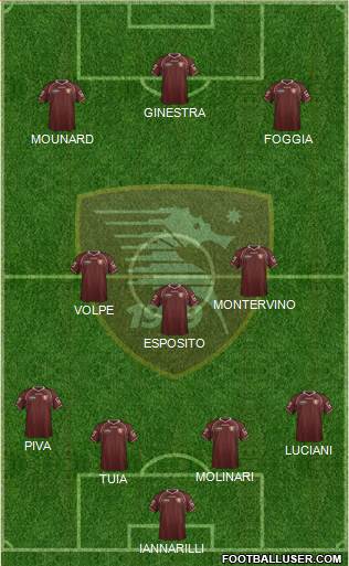 Salernitana Formation 2013