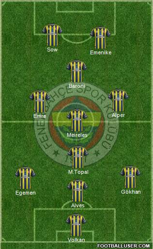 Fenerbahçe SK Formation 2013