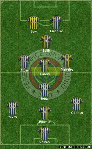 Fenerbahçe SK Formation 2013