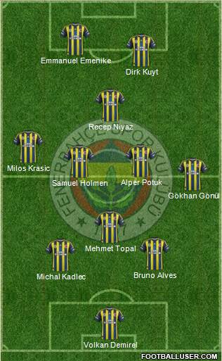 Fenerbahçe SK Formation 2013