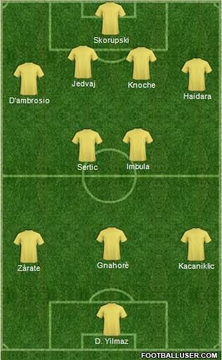 Newcastle United Formation 2013