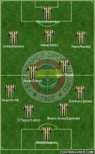 Fenerbahçe SK Formation 2013
