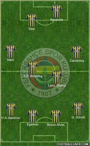 Fenerbahçe SK Formation 2013
