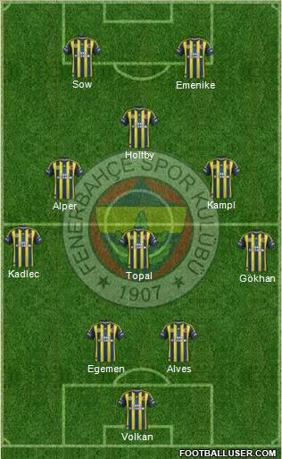 Fenerbahçe SK Formation 2013