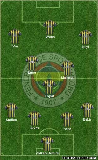 Fenerbahçe SK Formation 2013