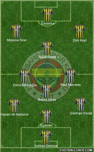 Fenerbahçe SK Formation 2013