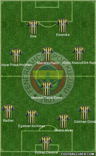 Fenerbahçe SK Formation 2013
