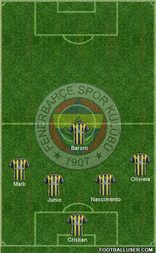Fenerbahçe SK Formation 2013