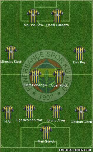 Fenerbahçe SK Formation 2013