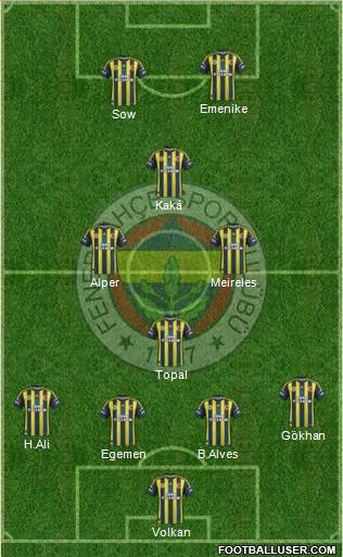 Fenerbahçe SK Formation 2013