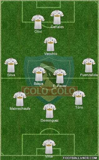 CSD Colo Colo Formation 2013