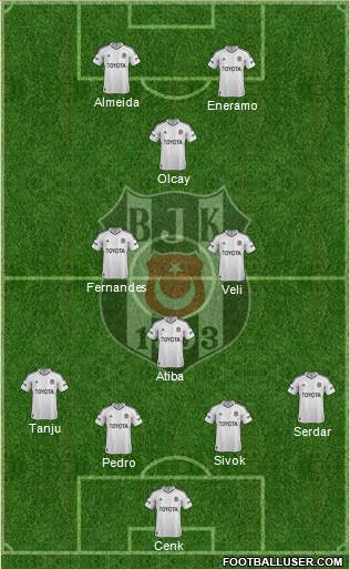 Besiktas JK Formation 2013