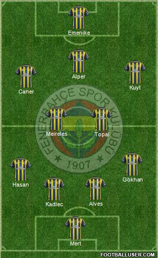 Fenerbahçe SK Formation 2013