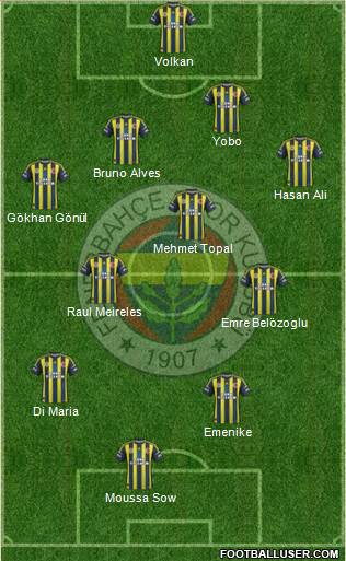 Fenerbahçe SK Formation 2013