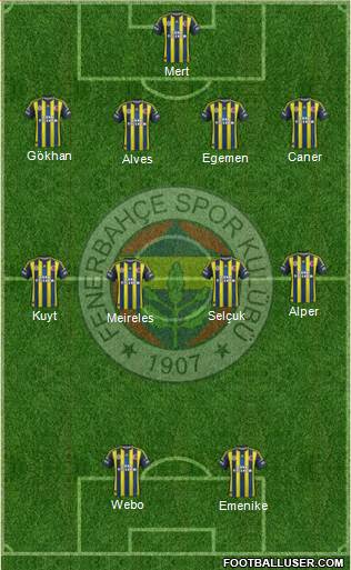 Fenerbahçe SK Formation 2013