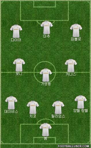 Swansea City Formation 2013