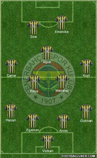 Fenerbahçe SK Formation 2013