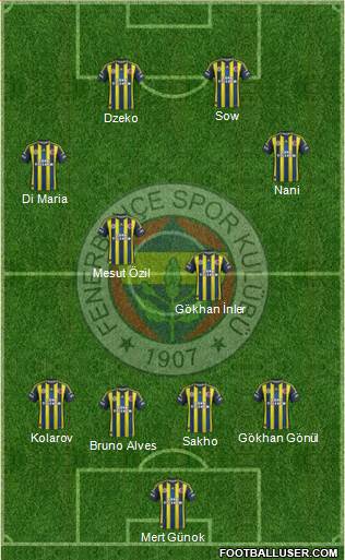 Fenerbahçe SK Formation 2013
