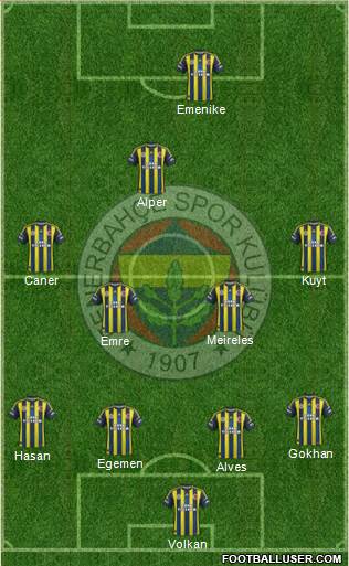 Fenerbahçe SK Formation 2013