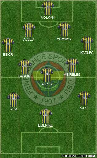 Fenerbahçe SK Formation 2013