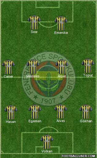 Fenerbahçe SK Formation 2013
