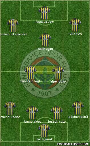Fenerbahçe SK Formation 2013