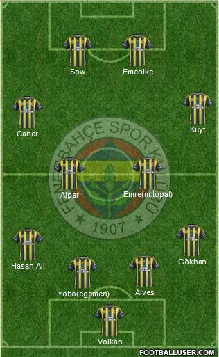 Fenerbahçe SK Formation 2013