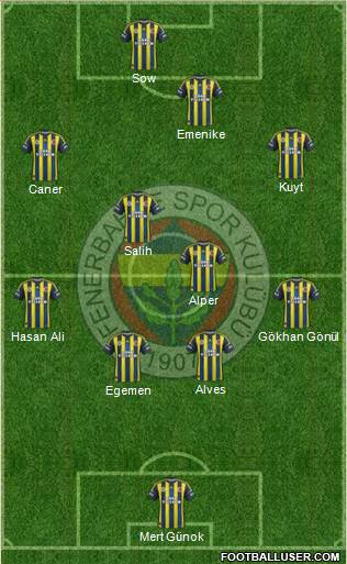 Fenerbahçe SK Formation 2013