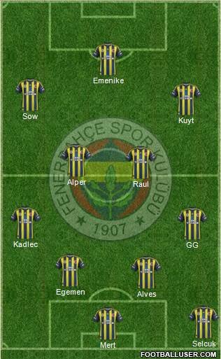 Fenerbahçe SK Formation 2013