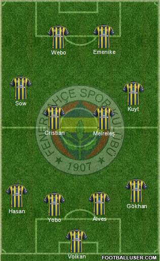 Fenerbahçe SK Formation 2013