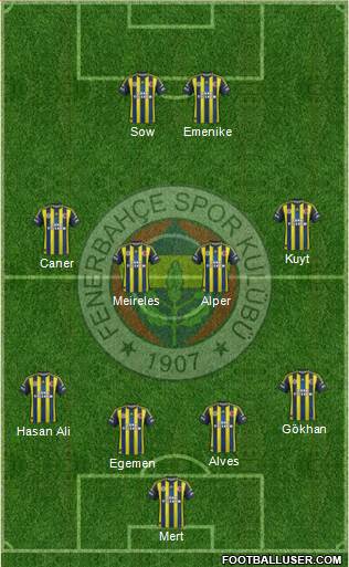 Fenerbahçe SK Formation 2013