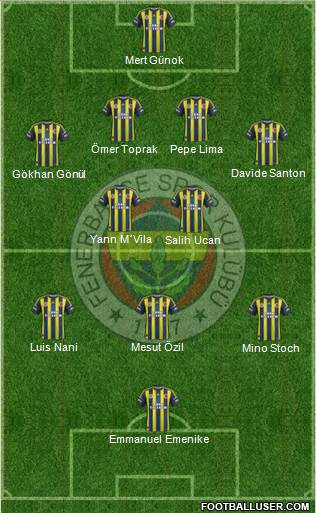 Fenerbahçe SK Formation 2013