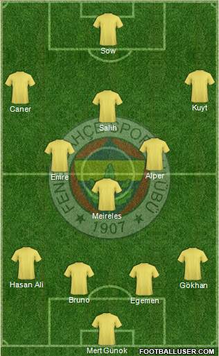 Fenerbahçe SK Formation 2013