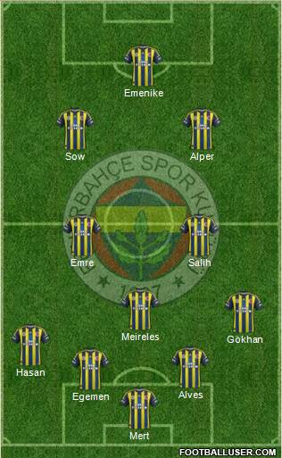 Fenerbahçe SK Formation 2013