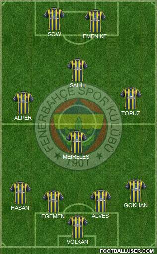 Fenerbahçe SK Formation 2013