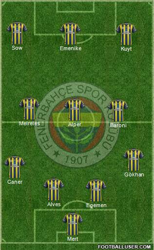 Fenerbahçe SK Formation 2013