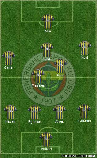 Fenerbahçe SK Formation 2013