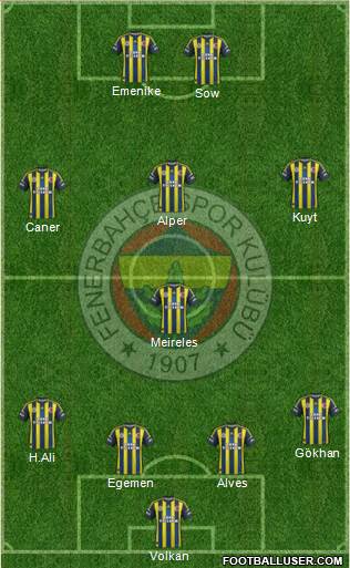 Fenerbahçe SK Formation 2013