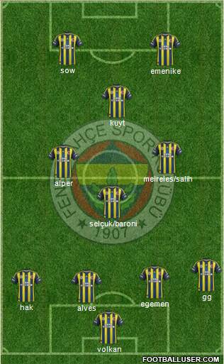 Fenerbahçe SK Formation 2013