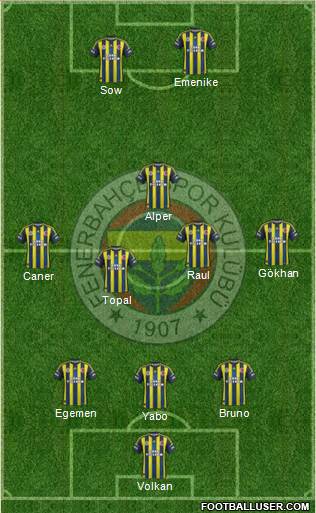 Fenerbahçe SK Formation 2013